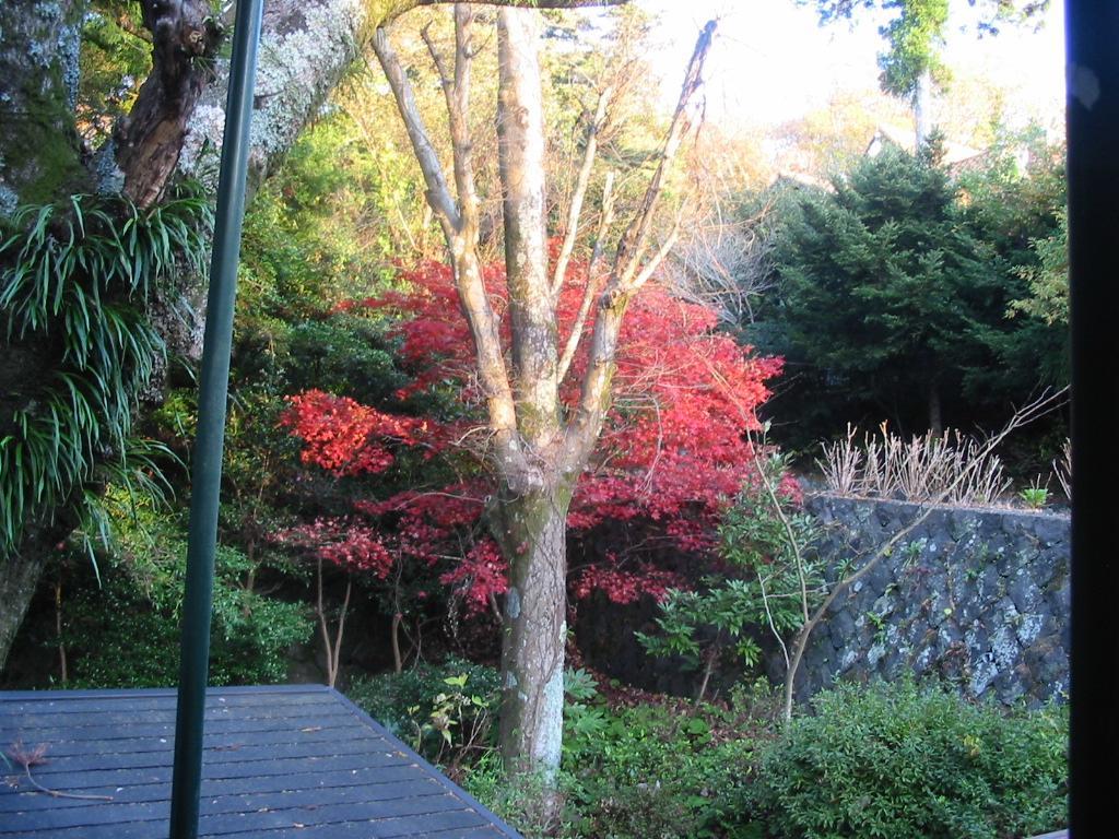Pension Nova Atami  Exterior photo